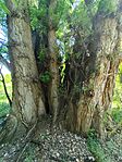 IMG_20260510_115257