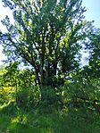 IMG_20260510_115605