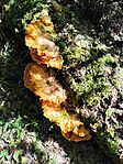 IMG_20260510_123303