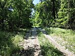 IMG_20260510_112345