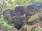 IMG_20260514_120855