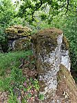 IMG_20260514_121337