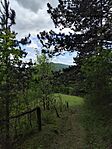 IMG_20260514_131043