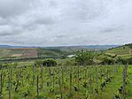 IMG_20260516_104625