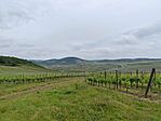 IMG_20260516_104908