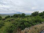 IMG_20260516_111750