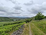 IMG_20260516_114251