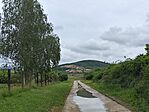 IMG_20260516_120749