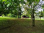 IMG_20260516_121111
