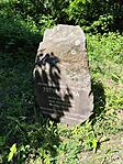 IMG_20260520_113054