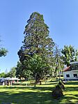 IMG_20260526_165756