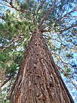 IMG_20260526_165050