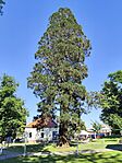 IMG_20260526_164843