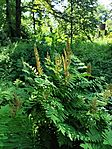 IMG_20260527_133456