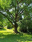 IMG_20260527_135154