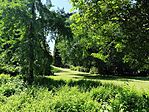 IMG_20260527_134834