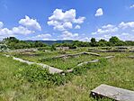 IMG_20260520_133126