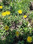 IMG_20260520_120416