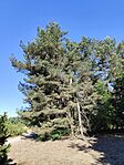 IMG_20260526_090716