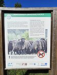 IMG_20260526_085941
