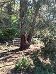 IMG_20260526_090741