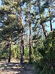 IMG_20260526_090807