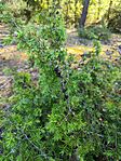 IMG_20260526_090904