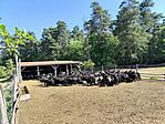 IMG_20260526_091430
