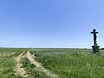 IMG_20260527_123318