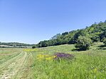 IMG_20260527_111632