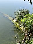 IMG_20260527_082834
