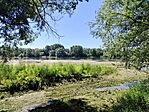 IMG_20260526_111450