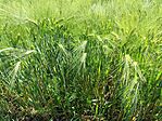 IMG_20260526_105625