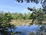 IMG_20260529_101809