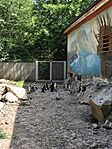IMG_20260529_150718