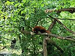 IMG_20260529_153455