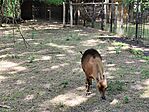 IMG_20260529_154159