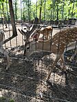 IMG_20260529_154706