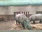 IMG_20260529_154949
