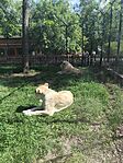 IMG_20260529_155045