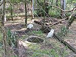 IMG_20260529_160139