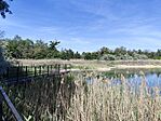 IMG_20260529_160809