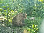 IMG_20260529_161137