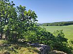 IMG_20260503_092631