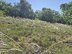 IMG_20260503_092623
