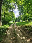 IMG_20260501_144532