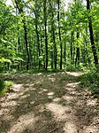 IMG_20260509_101231