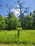 IMG_20260523_120925