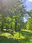 IMG_20260523_122849