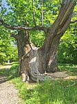 IMG_20260523_120701